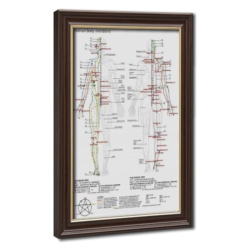 Toile de méridiens chinois 20x30cm en tissu résistant avec cadre suspendu en bois