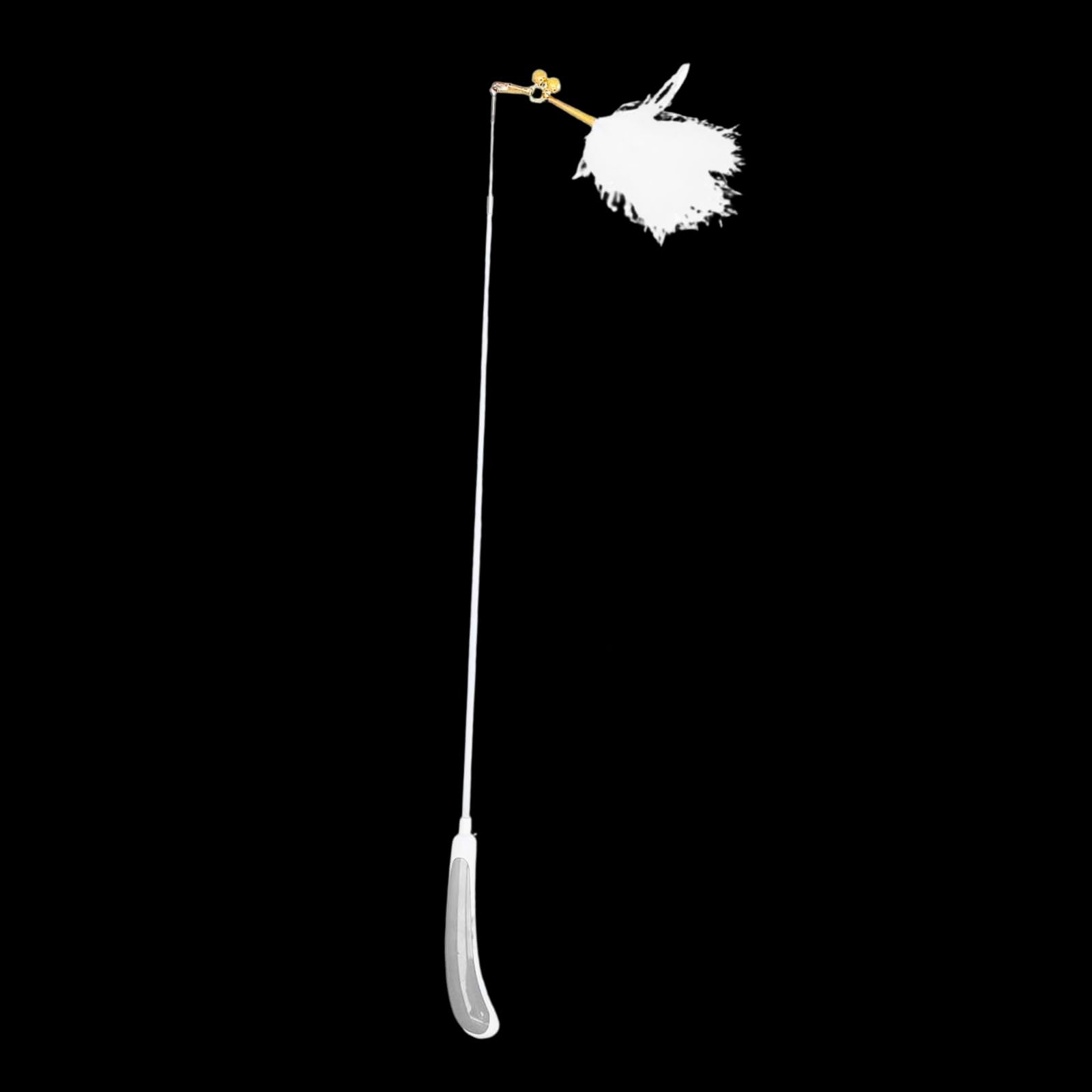 emily pets Cat Wand Toy Feather Stick Cat Toys, Cat Feathers Wand Toy, Interactive Cat Toy Feather Wand for Cats and Kitten (White-Grey) (B0CP24JD3L) Amazon Price History, Amazon Price Tracker