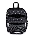 JanSport Laptop Backpack - Computer Bag with 2 Compartments, Ergonomic Shoulder Straps, 15” Laptop Sleeve, Haul Handle - Bad Bows