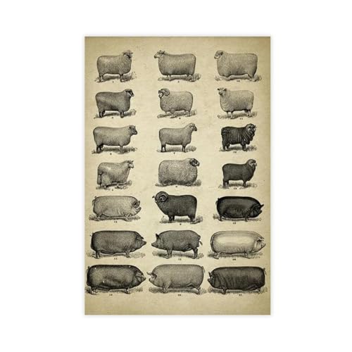 BNCEDJK Poster sur toile pour décoration de chambre à coucher, motif moutons et cochons, 20 x 30 cm