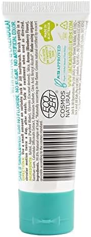 Jack N' Jill Kids Natural Toothpaste - Kids Toothpaste Fluoride Free, Organic Flavors, BPA Free SLS Free, Makes Tooth Brushing Fun for Kids - Blueberry & Strawberry, 1.76 oz (Pack of 2)