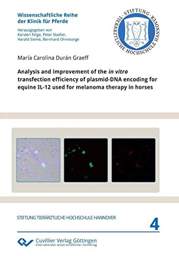 Analysis and improvement of the in vitro transfection efficiency of