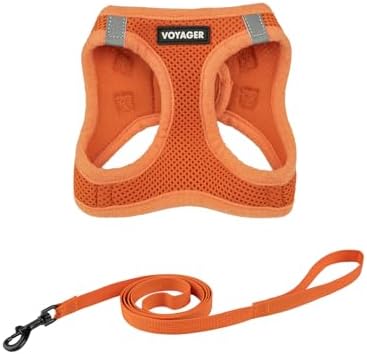 Voyager Step-in-Air-Geschirr für Katzen, Allwetter-Netzgewebe, Step-in-Weste, Geschirr für kleine und große Katzen, von Best Pet Supplies – Orange, XXXS (Brustumfang 27,9–30,5 cm)