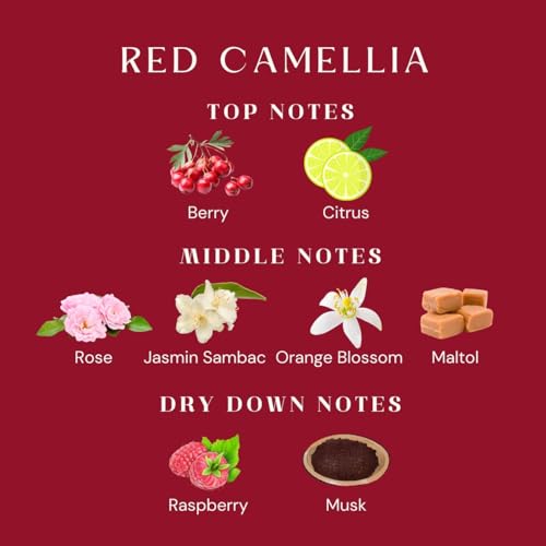 Msensestrongredsoyscentedcandleredcamelliaflowerscent106oz60hourburnsweetstressreliefcandlesgiftforbirthdaymotherdaylovers Urban Country Home Decor Msense strong red soy scented candle red camellia flower scent 106 oz 60 hour burnsweet stress relief candles gift for birthdaymother daylovers urban country home decor