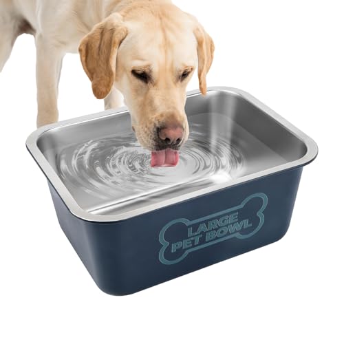 Lonepetu 3K ^pEH[^[{EAXeXX`[^hbO{EAeʃybgt[h{EEH[^[fBbV щOp jo[T ^狐匢p u[