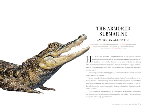 Image of Grizzled: Love Letters to 50 of North America's Least Understood Animals