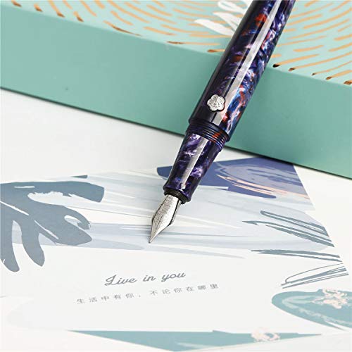 Asvine Liy (Live In You) Future Purple Provence Resin Fountain Pen, Schmidt Fine Nib Writing Gift For Signature And Collection #TOP3