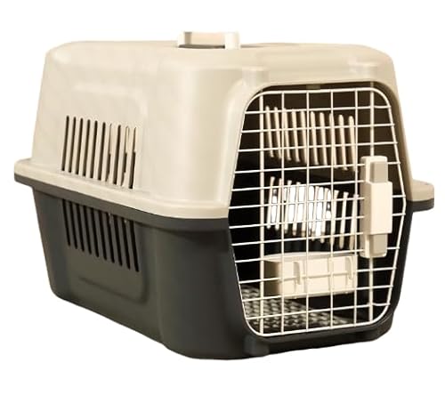 SIzlahoLpobO |[^u sp qЗp {bNX Lp P[W ybg p Ap {bNX ^p ԗp qAp L[obO Vt (y傫TCYz_[NO[i25҈ȓEނ{[hE݂蔫tj)