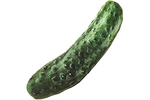 Green Cucumber Squeaky Plush Toy for Dogs