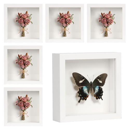 ODPF Shadow Box Frame White 5x5 6 Pack