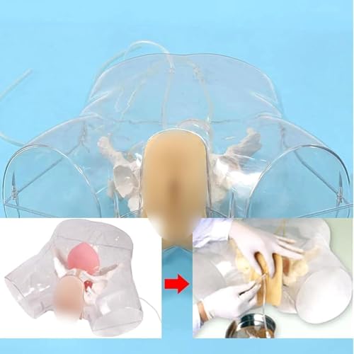 Modèle d'anatomie de cathétérisme féminin pour simulateur - 3
