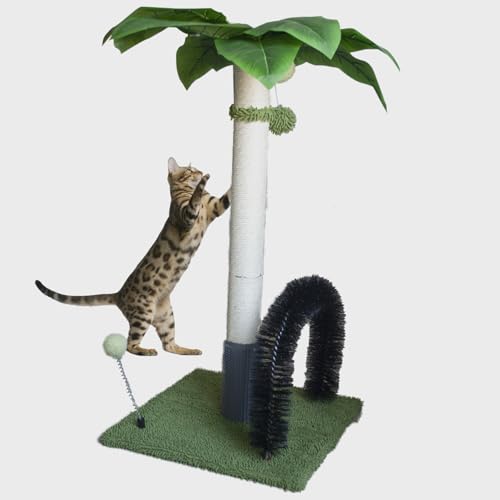 MUYG Scratching Post for Adults Cat,29.5 Inch Tall Palm Tree Cute Sisal Cat Scratching Post with Arch Self Groomer and Hanging Spring Balls(Green)
