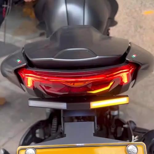 Support de plaque immatriculation à queue courte Ducati Monster 950 - 5