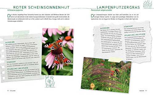 Die schönsten Pflanzen, die wenig Wasser brauchen für Garten, Balkon und Terrasse - 66 trockenheitsverträgliche Stauden, Sträucher, Gräser und Blumen, die heiße Sommer garantiert überleben - 4
