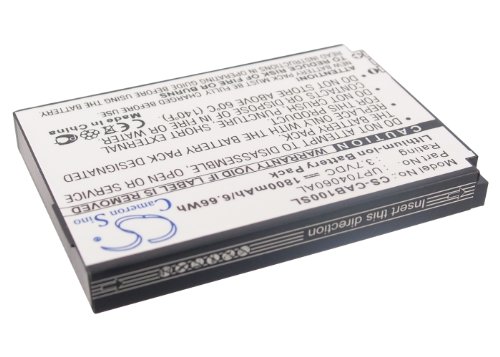 Battery Replacement for CAT B10 LIONX