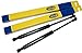RENAULT Laguna II Grandtour Wagon 2001- Tailgate Trunk Lift Support Damper REAR Shock Strut Prop x2 Pair SET