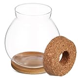 Toyvian Pecera Pequeña para Peces Betta con Tapa De Bambú Decoración para Mesa De Acuario para Plantas