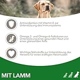 IAMS Hundefutter trocken mit Lamm - Trockenfutter für erwachsene Hunde ab 1 Jahr, geeignet für große Hunde, 3 kg