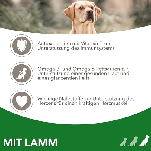 IAMS Hundefutter trocken mit Lamm - Trockenfutter für erwachsene Hunde ab 1 Jahr, geeignet für große Hunde, 3 kg