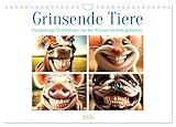 Grinsende Tiere - Tierporträts von der KI zum Lächeln gebracht (Wandkalender 2026 DIN A4 quer), CALVENDO Monatskalender