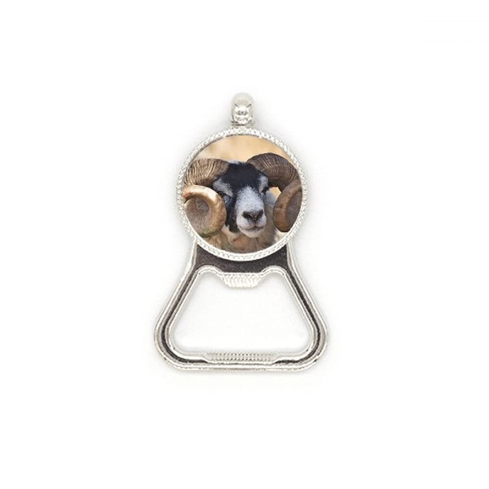 Décapsuleur bouteille de bière acier inoxydable motif animal idée cadeau
