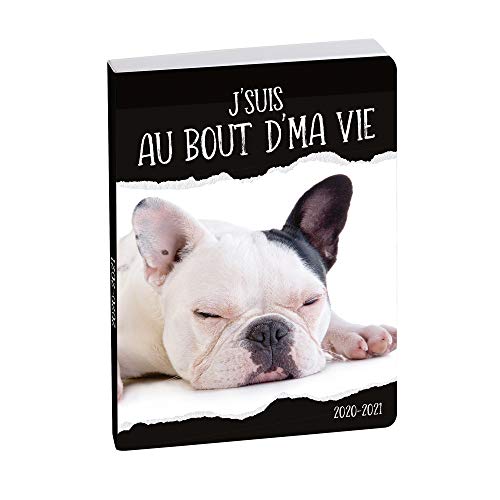 Télécharger Exacompta 1844516e Agenda Forum 1 Jour par Page Août 2020 Juillet 2021 12 cm x 17 cm Funny Pets au PDF Ebook En Ligne
