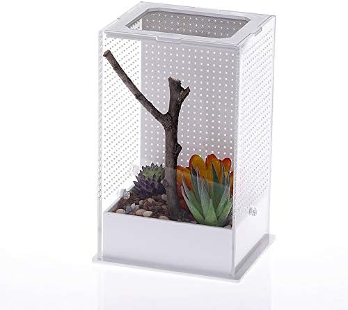 Lissomplume 爬虫類ケージ 飼育ケース 飼育容器 爬虫類 小動物用 爬虫類飼育箱 飼育ボックス 昆虫飼育ケース アクリル クモ サソリ ヤモリ ヘビ カメ クワガタ 飼育ケージ クリア 10cm 8cm 15cm Lissomplume 飼育ケース ケージ 通販 Amazon