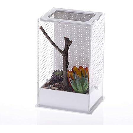 Amazon Lissomplume 爬虫類ケージ 飼育ケース 飼育容器 爬虫類 小動物用 爬虫類飼育箱 飼育ボックス 昆虫飼育ケース アクリル クモ サソリ ヤモリ ヘビ カメ クワガタ 飼育ケージ クリア 10cm 8cm 15cm Lissomplume 飼育ケース ケージ 通販