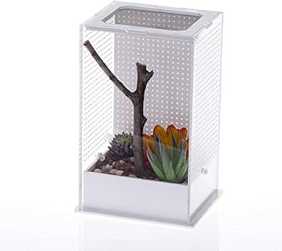 Amazon Lissomplume 爬虫類ケージ 飼育ケース 飼育容器 爬虫類 小動物用 爬虫類飼育箱 飼育ボックス 昆虫飼育ケース アクリル クモ サソリ ヤモリ ヘビ カメ クワガタ 飼育ケージ クリア 10cm 8cm 15cm Lissomplume 飼育ケース ケージ 通販