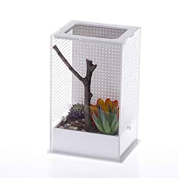 5個セット　爬虫類飼育ケージ 30×20×15 6個セット爬虫類飼育ケージ 30×20×15