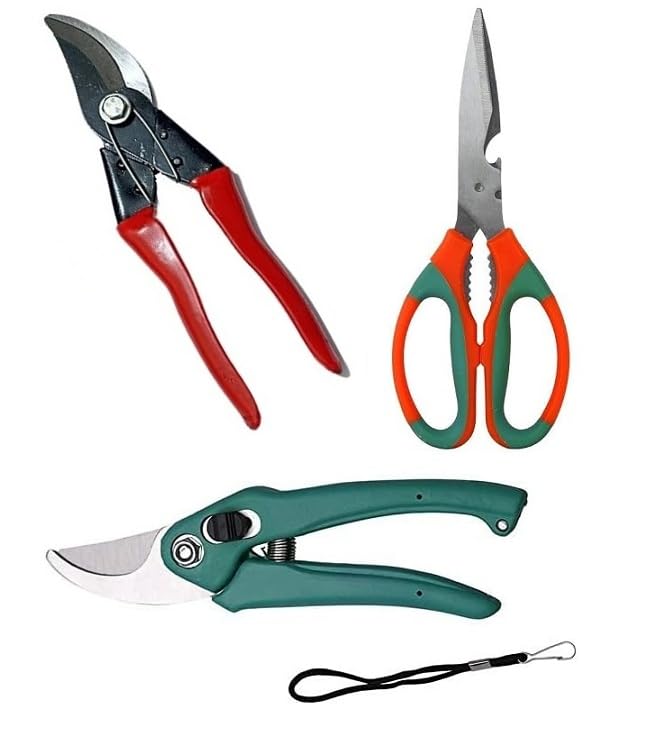 Aarav Heavy Duty Plant Cutter, Garden Scissors, Plant Branch Cutter, Pruner Cutter, Flower Cutter, Pruning Secateur For Home Gardening Tool (German Cut, Pruner Cutter, Scissors) Set of 3 (B0D3DX2JKG) Amazon Price History, Amazon Price Tracker