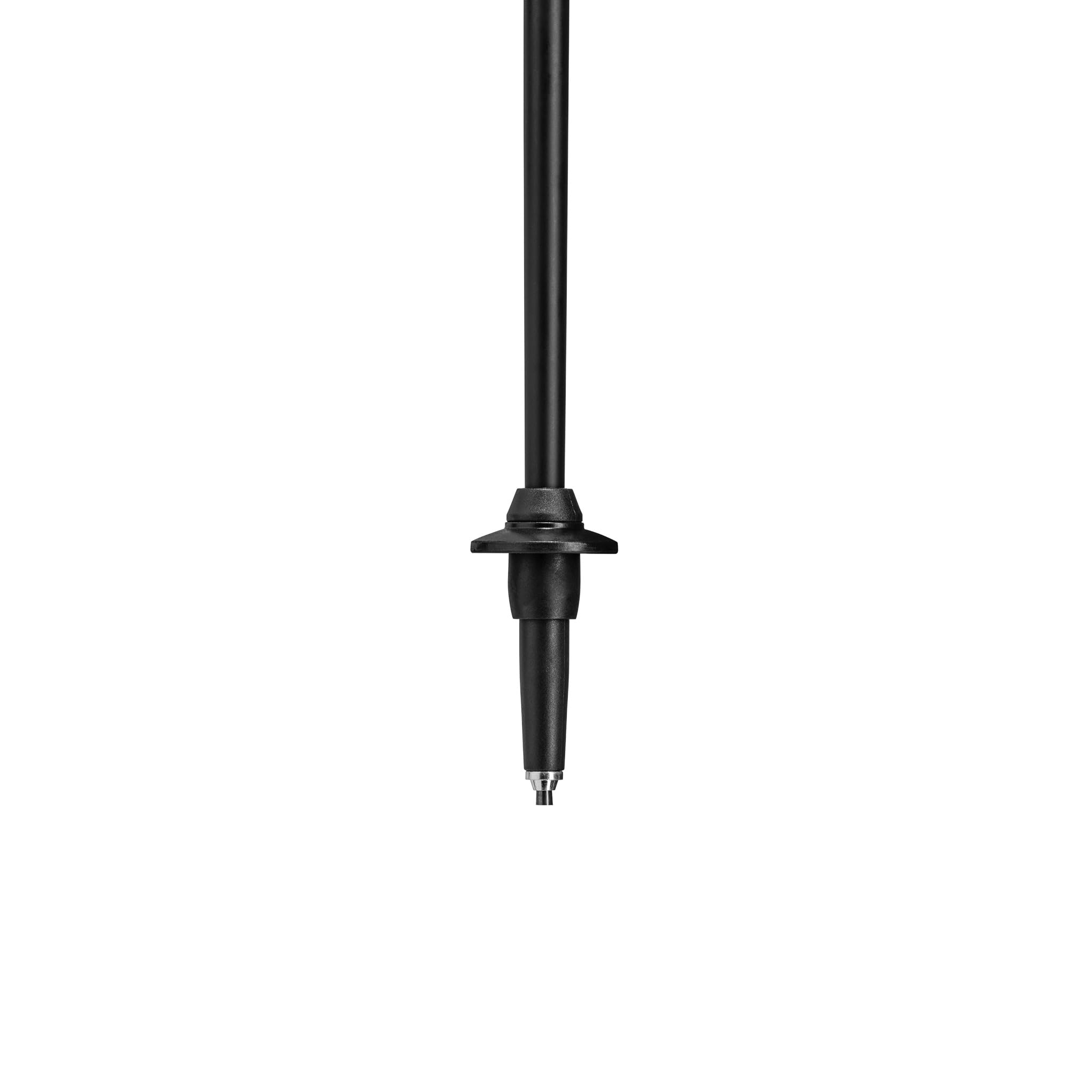 LEKI SKYTERA FX Carbon *