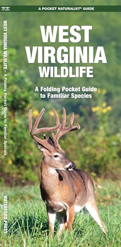West Virginia Wildlife: A Folding Pocket Guide to Familiar Species (Wildlife and Nature Identification)