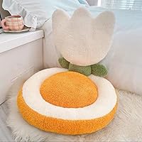 肉のクッション Amazon｜URAKUTOYS 肉のクッション ステーキ インテリア 枕 料理