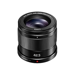Panasonic H-HS043E LUMIX G lens 42,5 mm/F1.7 ASPH; optische beeldstabilisator; zwart