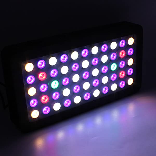 Amazon.co.jp: サンゴ用照明 LED 水槽照明 アクアリウムライトライト