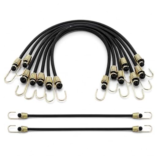 6 Pcs Small Bungee Cords with Hooks, 10 Inch Mini Elastic Straps, Heavy Duty Black Rubber Tie Down Cord Set for Tent Tarp Bike Car RV Camping Luggage Roof Rack Motorcycle Cargo Tool Accessory