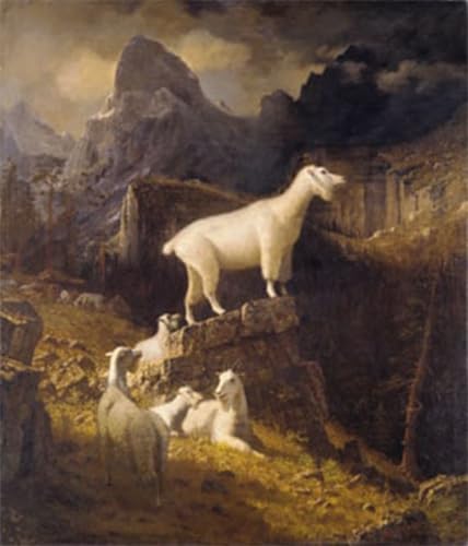 Posters et art pour décoration chambre tableau impressions d'art mural paysage montagne