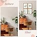Art3d Framed Wall Art Set of 4 for Wooded Aesthetic Wall Decor for Living room Kitchen Hallway Bedroom, Green Plant Picture Frame, Neutral Botanical Wall Prints