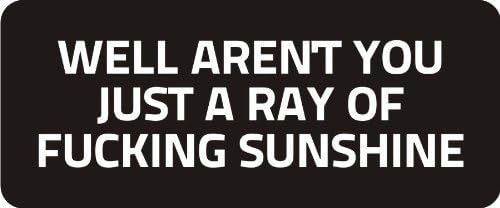 3 - Well aren't You Just A Ray of Fu*King Sunshine 1 1/4" x 3" Hard Hat Biker Helmet Stickers Bs569