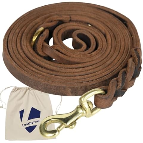 Leather Dog Leash 6 FT Long x 1/2 Inch Wide, Strong Heavy Duty Genuine Leather Braided Dog Training Leash, Soft and Comfortable Leather Leash for Large Dogs, Medium Small Dogs (Brown) Cover