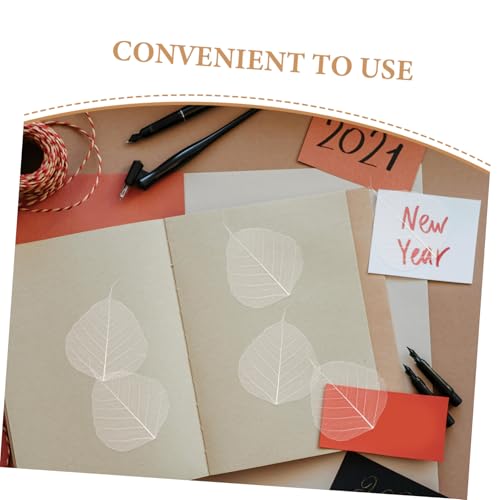 20 hojas secas prensadas para manualidades DIY miniatura 3