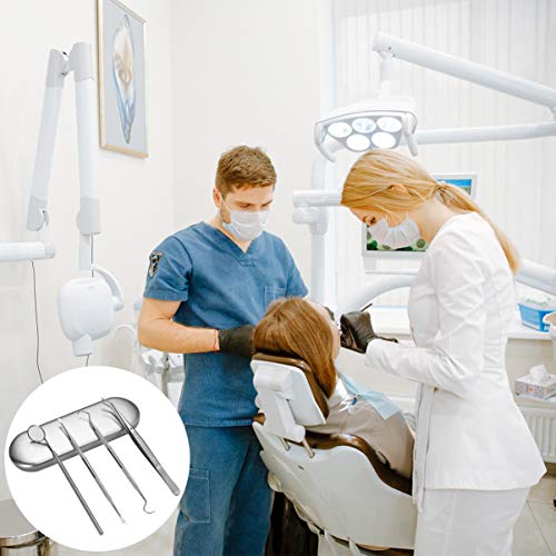HEALLILY Kit de Higiene Dental Com 4 Removedor de Raspagem de Aço Inoxidável para Palito de Dente Pa