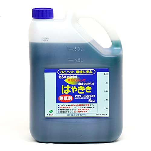 ���i�摜