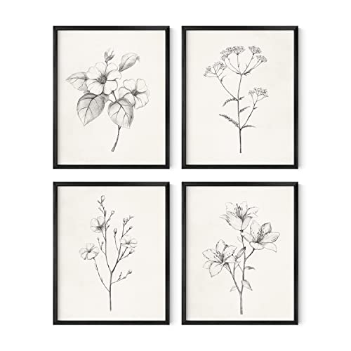 HAUS AND HUES Grey Floral Wall Art – Set of 4 Plant Posters for Wall Vintage, Botanical Prints, Black and White Wall Art Flower Pictures for Room Aesthetic, Farmhouse Bathroom Art (8×10, Unframed)