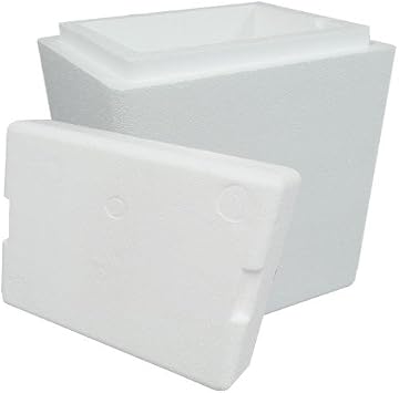 Air Sea Containers Insulated Styrofoam Cooler Complete w/Base & Lid - Great for Shipping Medical Specimens, Produce & All Sorts of Perishables - Inner Dims 12.25"x12.25"x12" Made in U.S.A.