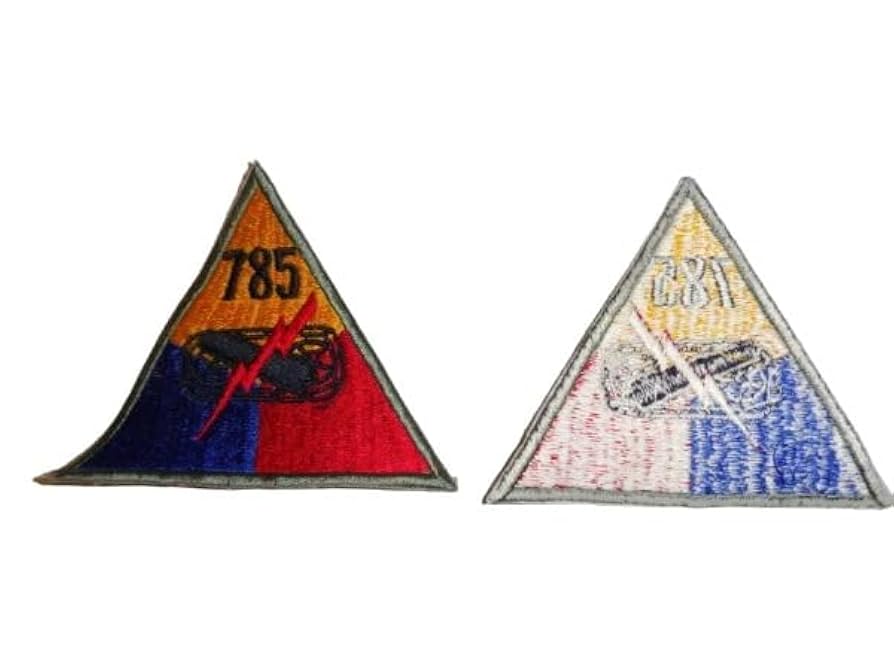 Amazon.com: FARTICOSSIN Ww2 United States Army Armored 785