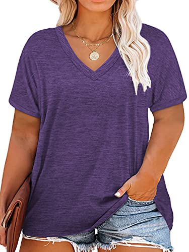 Image of DOLNINE Plus-Size Tops for Women Casual Short Sleeve Color Block T-Shirts | Basic Going Out Tees, Summer Trendy Loose Fit Tunics
