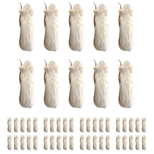 feedbase Ⓚ}EX zbp[ 50C L 17`20g