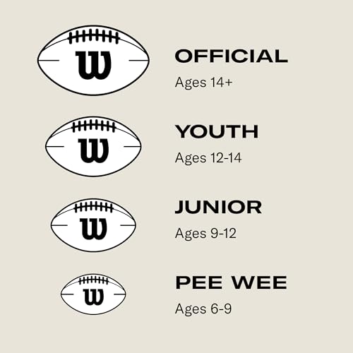 Image of Wilson Wilson NCAA Football